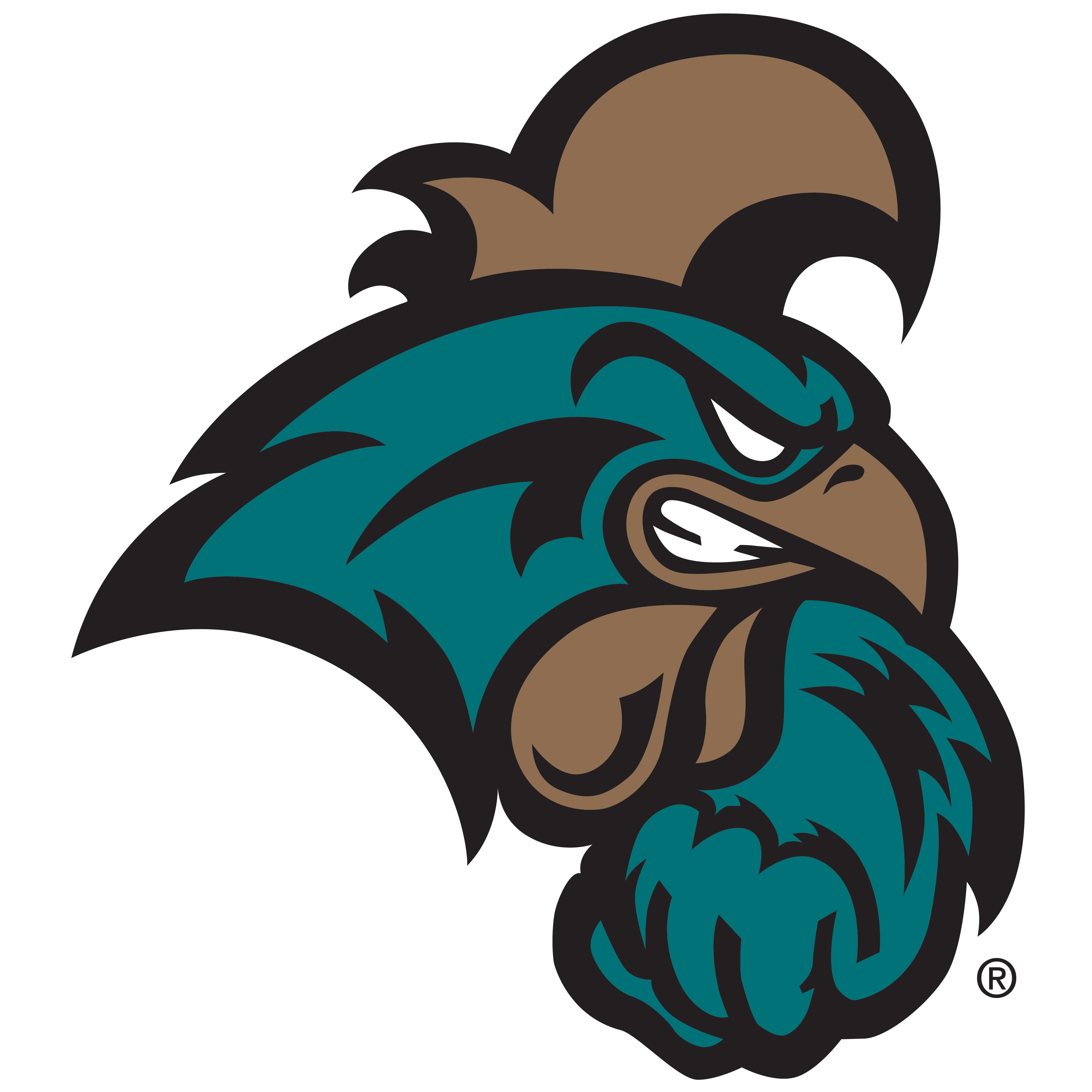 Coastal Carolina University Chanticleers Tailgating Games Victory