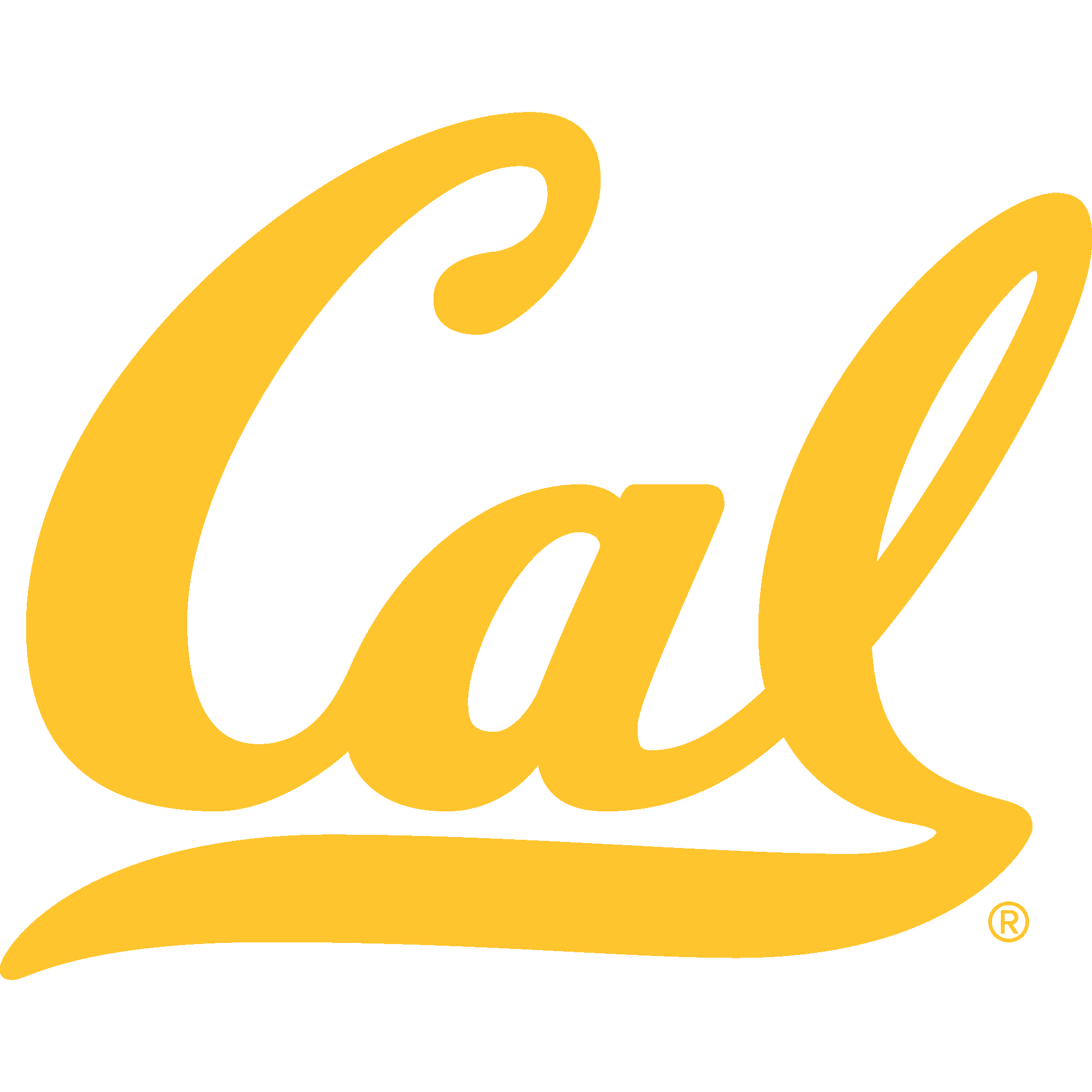University of California Golden Bears