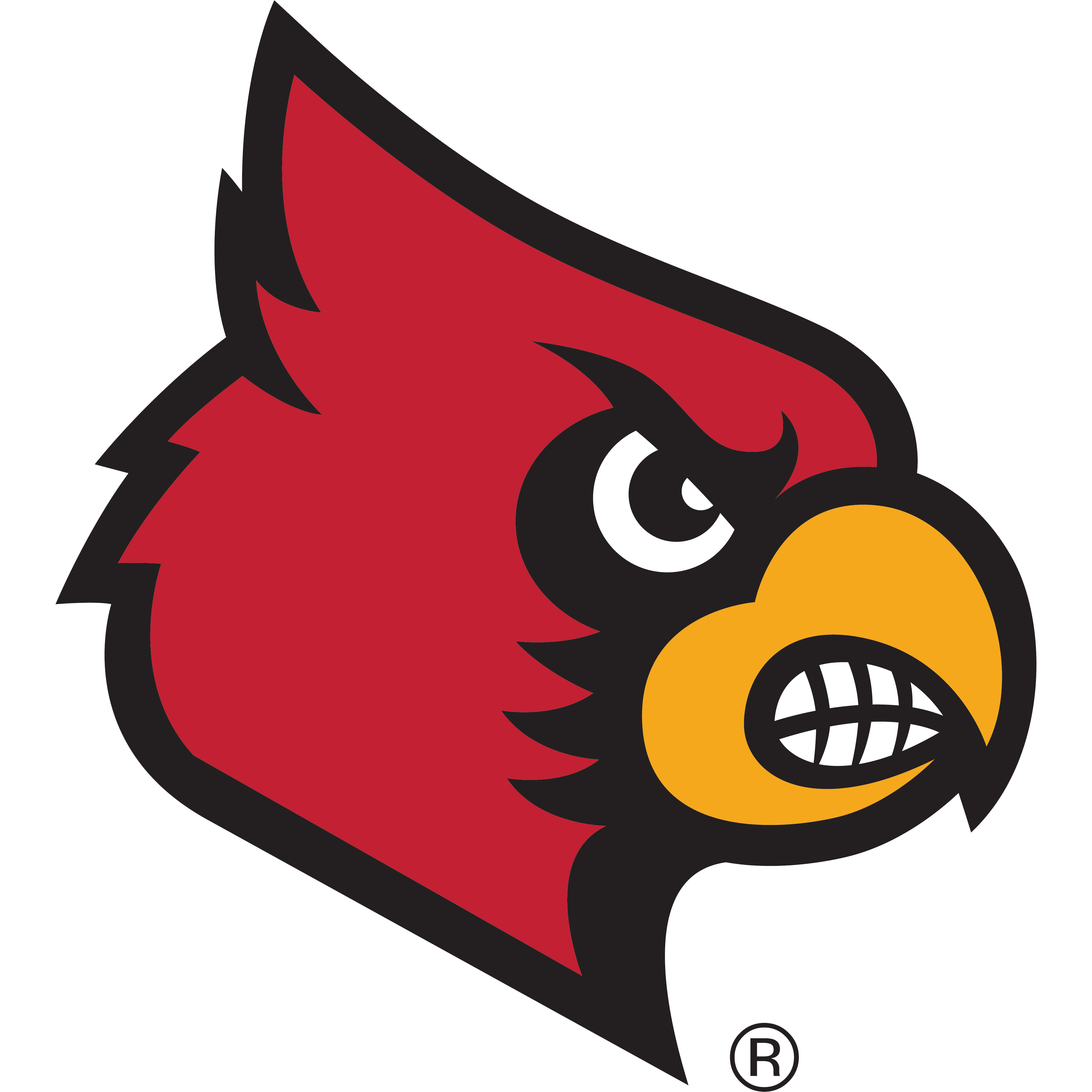 University of Louisville Cardinals